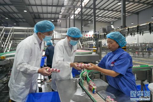 组图丨福建晋江 金融 活水 助力企业 智改数转